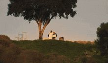 a man and a woman sit on a bench with a cooler full of beer