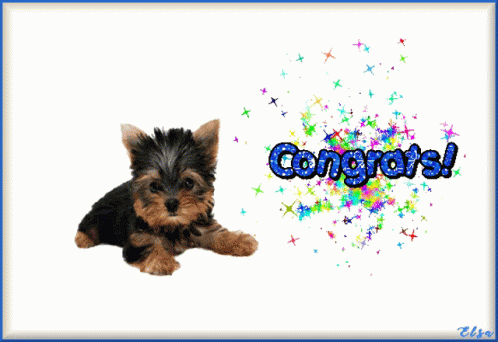 congratulations puppy gif