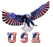 Eagle Usa GIF - Eagle Usa Bird GIFs