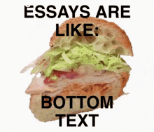Sandwich Essays GIF