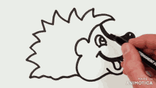a person is drawing a hedgehog with a black marker