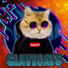 Slavecats GIF - Slavecats GIFs