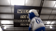 Indianapolis Colts Blue GIF - Indianapolis Colts Blue Colts GIFs