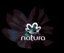 Mm Natura GIF - Mm Natura Leaf GIFs