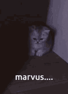 Marvus Join Vc Marvus GIF - Marvus Join Vc Marvus Yugioh GIFs