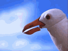 Spongeob Seagulls GIF - Spongeob Seagulls Seagull GIFs