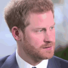 royals royal family prince harry harry duke of sussex