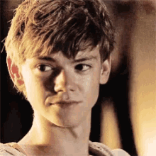 maze runner le labyrinthe newt thomas brodie sangster