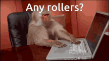 any rollers mudae any rollers
