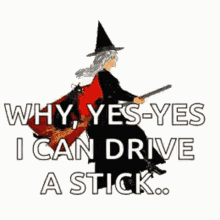 witch on broom witch i can drive a stick