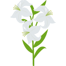 lily spring fling joypixels white lily lily flower