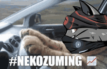Nekozuma Thndrgang GIF