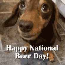 Happy National Beer Day Free Beer GIF - Happy National Beer Day Free Beer Beer Day GIFs
