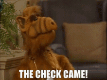 Alf The Check Came GIF - Alf The Check Came Check GIFs