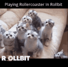 Rollbit Trading GIF - Rollbit Trading GIFs