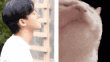 Kjdreacts Chen GIF - Kjdreacts Chen Vibing GIFs