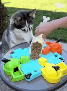 Dog Food This Is Happening GIF - Dog Food This Is Happening Eat Up GIFs