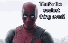 Deadpool Thats The Coolest Thing Ever GIF - Deadpool Thats The Coolest Thing Ever GIFs