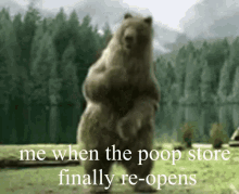 Poop Store Bear Dancing GIF