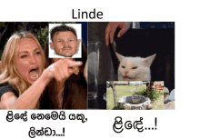 Linde Goerge Linde GIF - Linde Goerge Linde Sinhala Linde GIFs