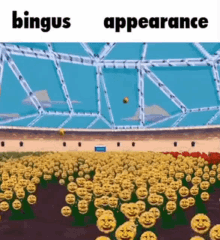 appearance bingus
