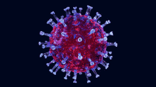 Covid19 Cell GIF - Covid19 Cell Virus GIFs