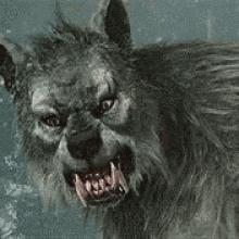Werewolf GIF - Werewolf GIFs