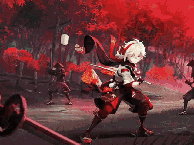 Kazuha GIF - Kazuha GIFs