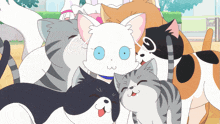 a group of cats are posing for a picture and one of them has a blue eye