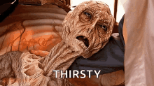 Dying Hungry And Thirstya GIF - Dying Hungry And Thirstya GIFs