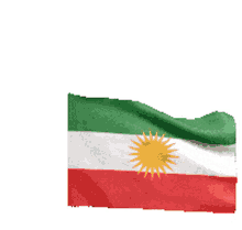 flag waving windy flag of kurdistan