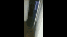 a person is walking down a hallway in a dark room with a light on the wall .