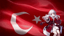 Clara Turkey GIF - Clara Turkey Turkey Flag GIFs