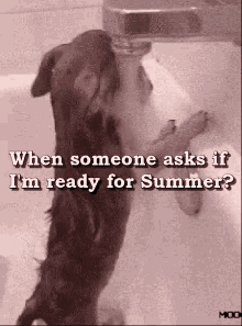 Ready For Summer Are You Ready For Summer GIF - Ready For Summer Are You Ready For Summer When Someone Asks GIFs