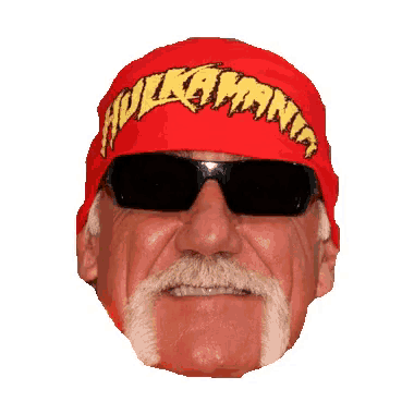 Hulk hogan discount smile