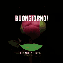 Florgarden Buongiorno GIF - Florgarden Buongiorno Fiorire GIFs