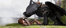 Toothless Hiccup GIF - Toothless Hiccup Lick GIFs