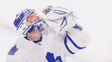 Toronto Leafs GIF - Toronto Leafs Hockey GIFs