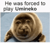 Forced To Play Umineko GIF