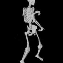 Skeleton Dancing Bones GIF - Skeleton Dancing Bones Disco GIFs