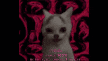 a picture of a cat with a red background and the words " aiaaiia " written on it