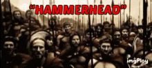 Seppy Hammer Head Hammerhead GIF - Seppy Hammer Head Hammerhead GIFs