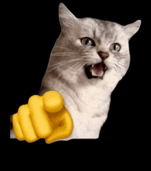Deksy Demon Cat GIF - Deksy Demon Cat Cat Laughing At You GIFs