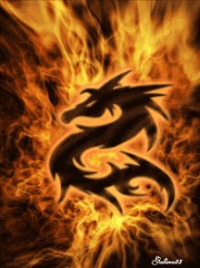 a drawing of a dragon with the name salema on it