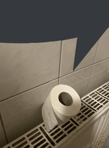 Toilet Paper GIF - Toilet Paper GIFs