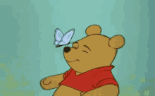 Pooh Butterfly GIF - Pooh Butterfly Playful GIFs