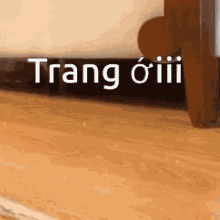 Cat Trangơi GIF
