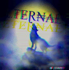 Eternaltm Bozkurteternal GIF - Eternaltm Eternal Bozkurteternal GIFs