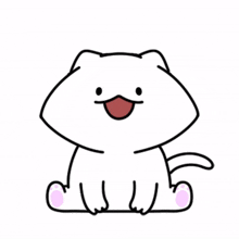 cat cute white broad lovely