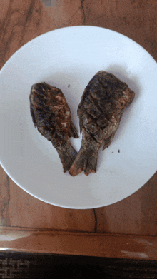 two grilled fish on a white plate with a wooden table in the background